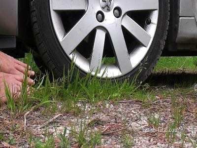 Car Crushing With One Mitt And The Two Palms With Front And Rear Wheels